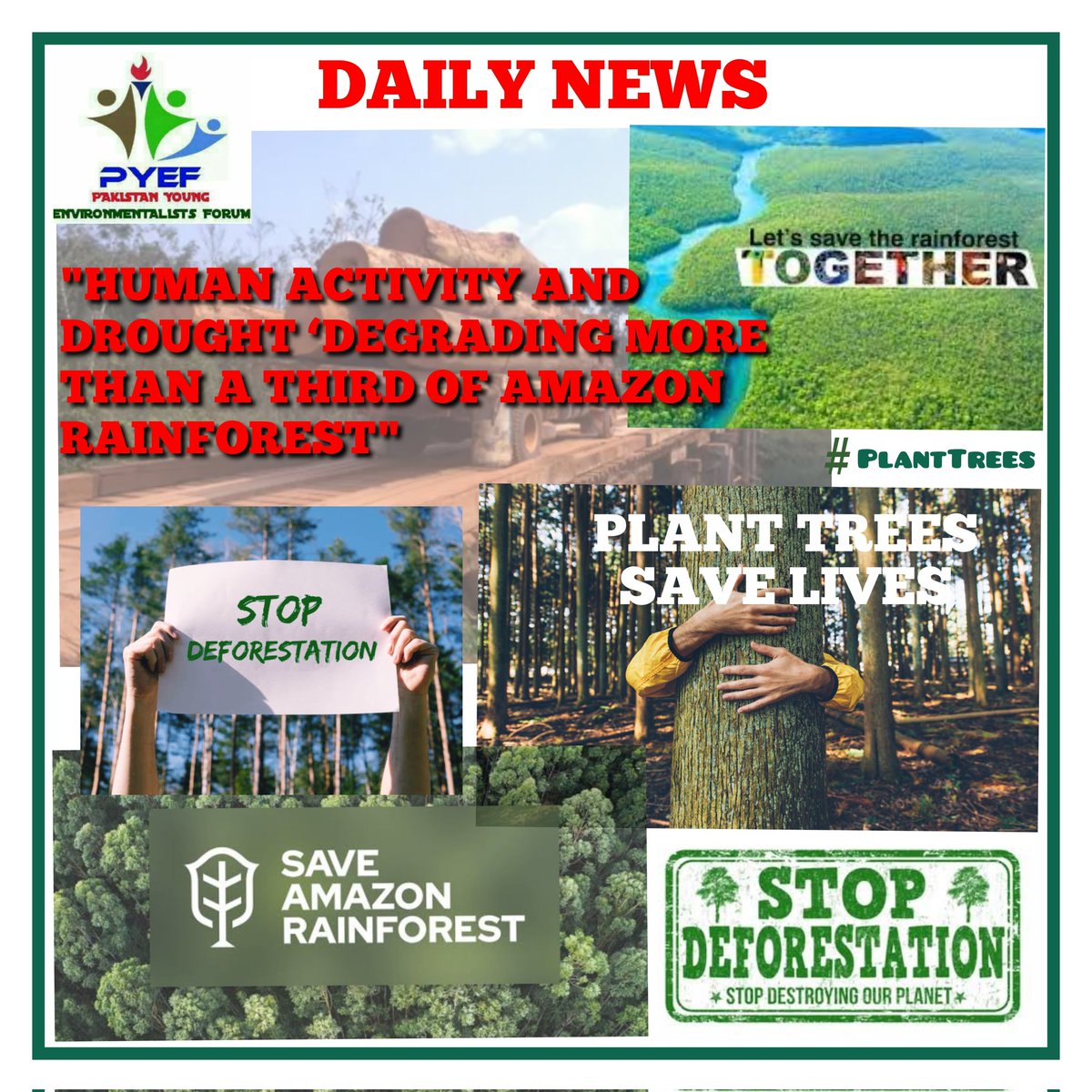 psdf_pak's tweet image. AMAZON | World Largest Forest 
In the last fifty years, Brazil's Amazon has lost about a fifth of its forest cover—almost 300,000 square miles. 

#STOPDEFORESTATION 
#SaveAmazon 
#PlantTrees 
#Pyef