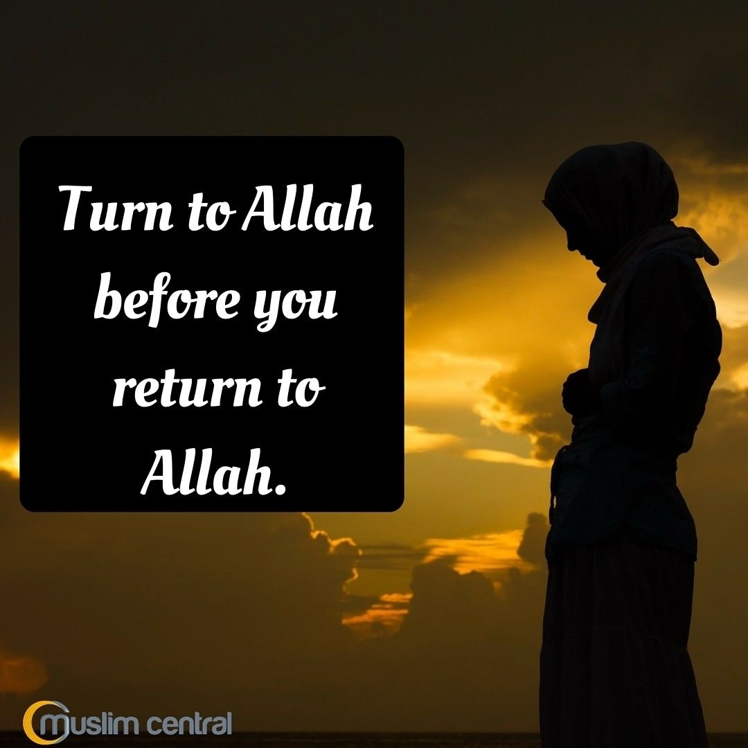ShafiaSehar's tweet photo. 💞✨💞 https://t.co/5ES25I0sdp