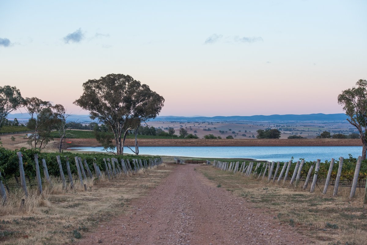 Come and join New South Wales Wine, the 'Birthplace of Australian Wine', at their 2nd UK trade tasting as a stand-alone region, to be held in London on Wednesday 22 March 2023. 

52 wines, 13 exciting producers, 6 wine regions. 

form.jotform.com/EvivaComm/22-m…