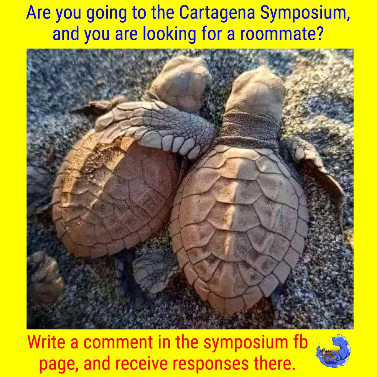 🌊🐢ISTS Sea Turtle Symposium tweet media