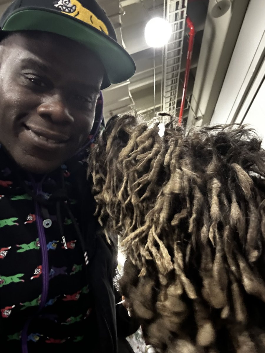 Mayers_tV's tweet photo. Met the breeds this weekend with my mini! #bergamasco #Havanese @akcdoglovers https://t.co/bFtho2V0ju