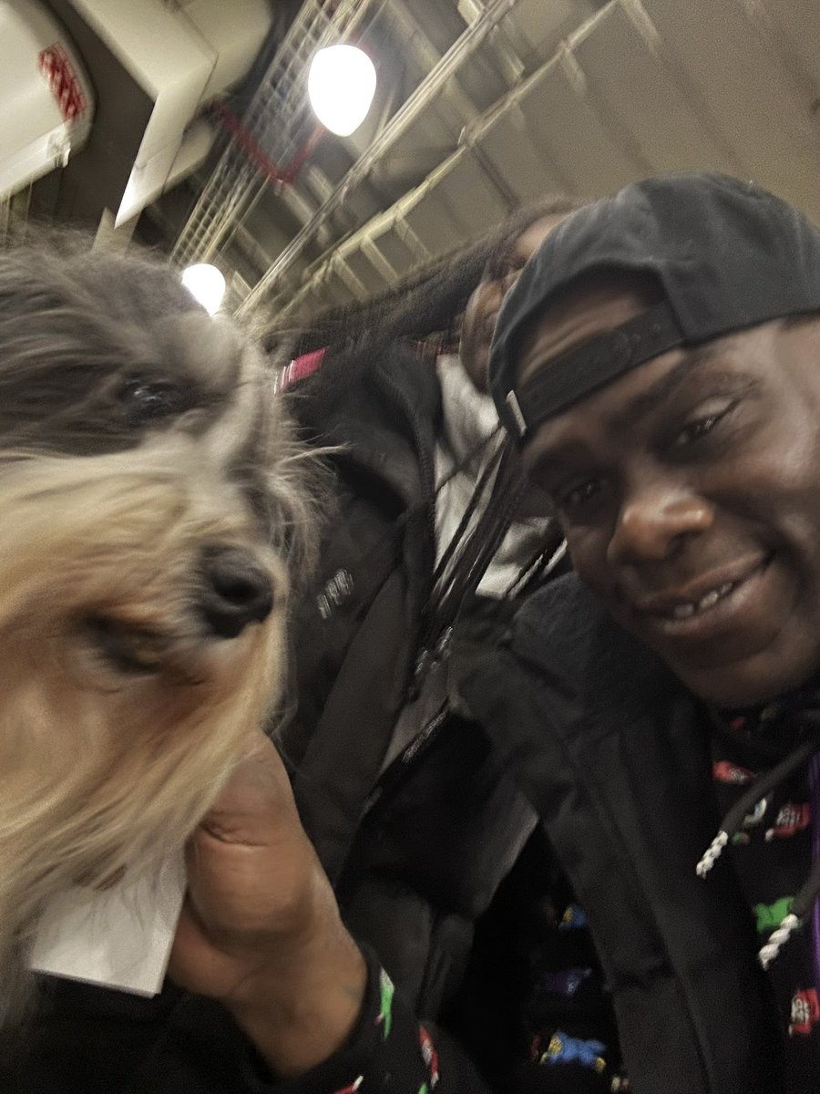 Mayers_tV's tweet photo. Met the breeds this weekend with my mini! #bergamasco #Havanese @akcdoglovers https://t.co/bFtho2V0ju