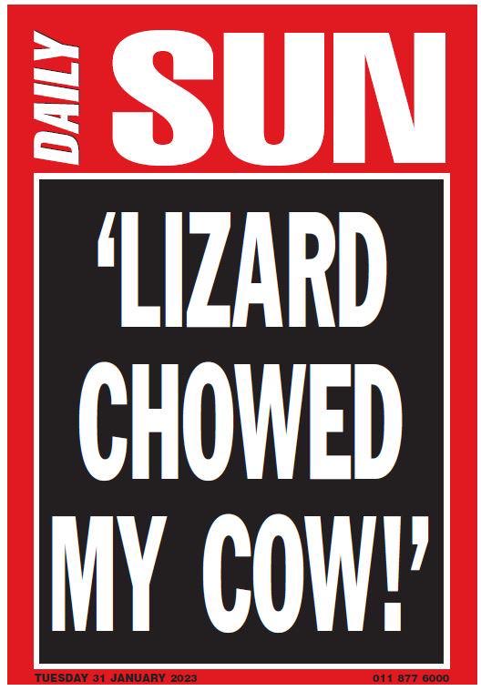 Indlovukazi yo Swazi 👑 tweet media