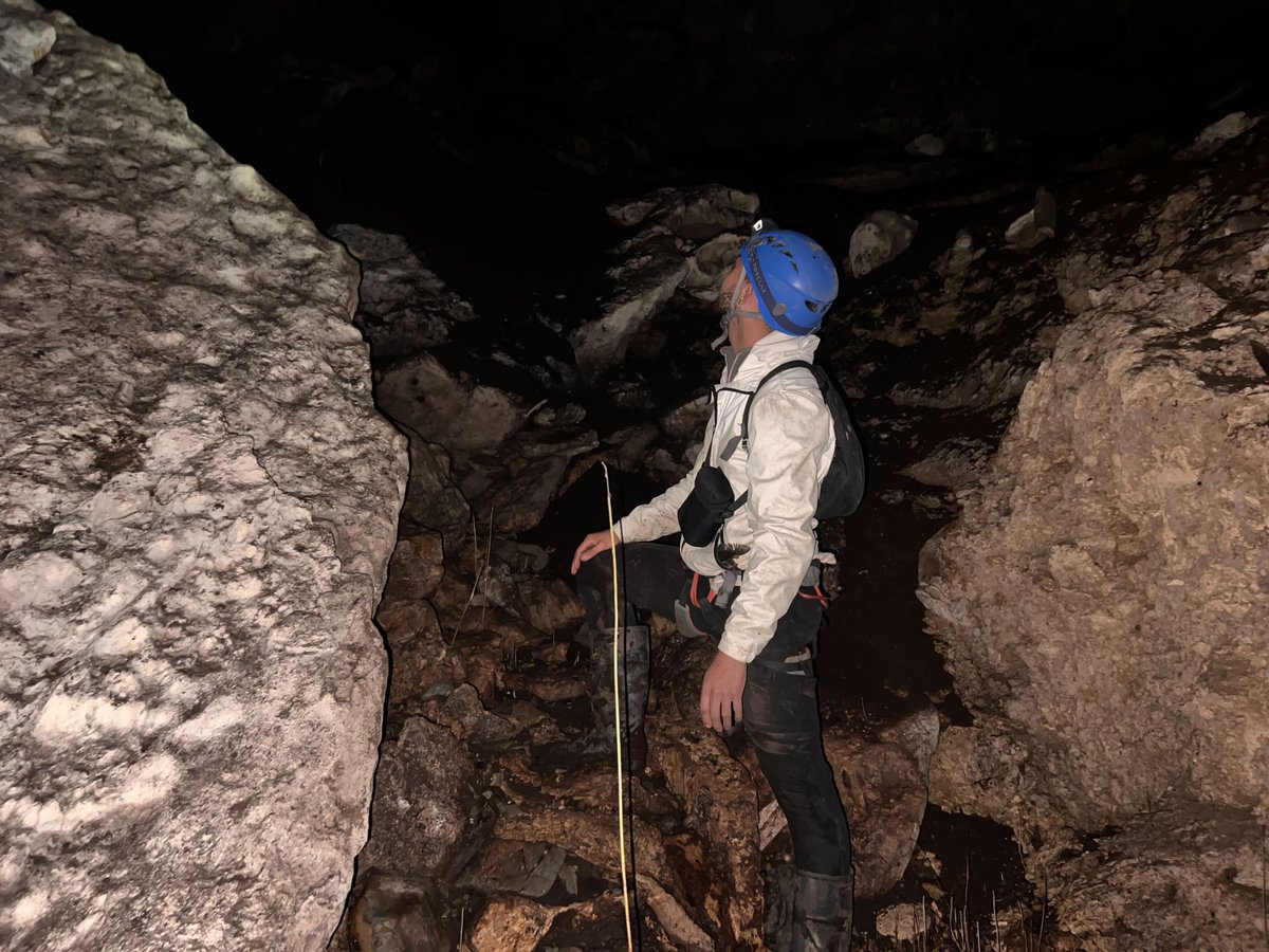 Adriana Maldonado-Chaparro (@adrimaldoc) on Twitter photo Do you want to learn how large are oilbird colonies in notheastern Colombia? Stay tuned for undergrad research by <a href="/duenas_pineda/">Juan Diego Pineda-Dueñas</a>. He just came back from his first field season where he was monitoring several populations in caves at different altitudes. <a href="/maxplanckpress/">Max Planck Society</a> Do you want to learn how large are oilbird colonies in notheastern Colombia? Stay tuned for undergrad research by <a href="/duenas_pineda/">Juan Diego Pineda-Dueñas</a>. He just came back from his first field season where he was monitoring several populations in caves at different altitudes. <a href="/maxplanckpress/">Max Planck Society</a>
