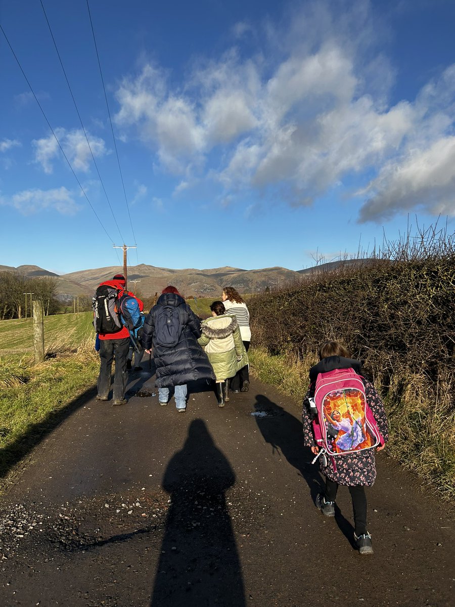 Miss Prentice & The Hive 🐝 tweet media