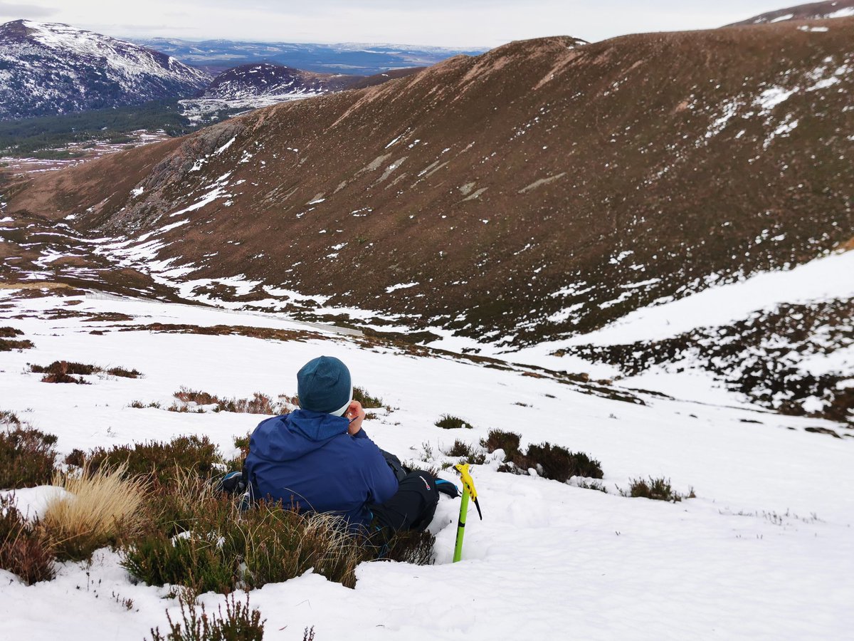 vickyinglis13's tweet image. Snaps from last weekend's outing in the Cairngorms putting winter skills + avalanche awareness learning into action with @hillgoers before the thaw snatched away most of the snow. #ThinkWinter #Scotland