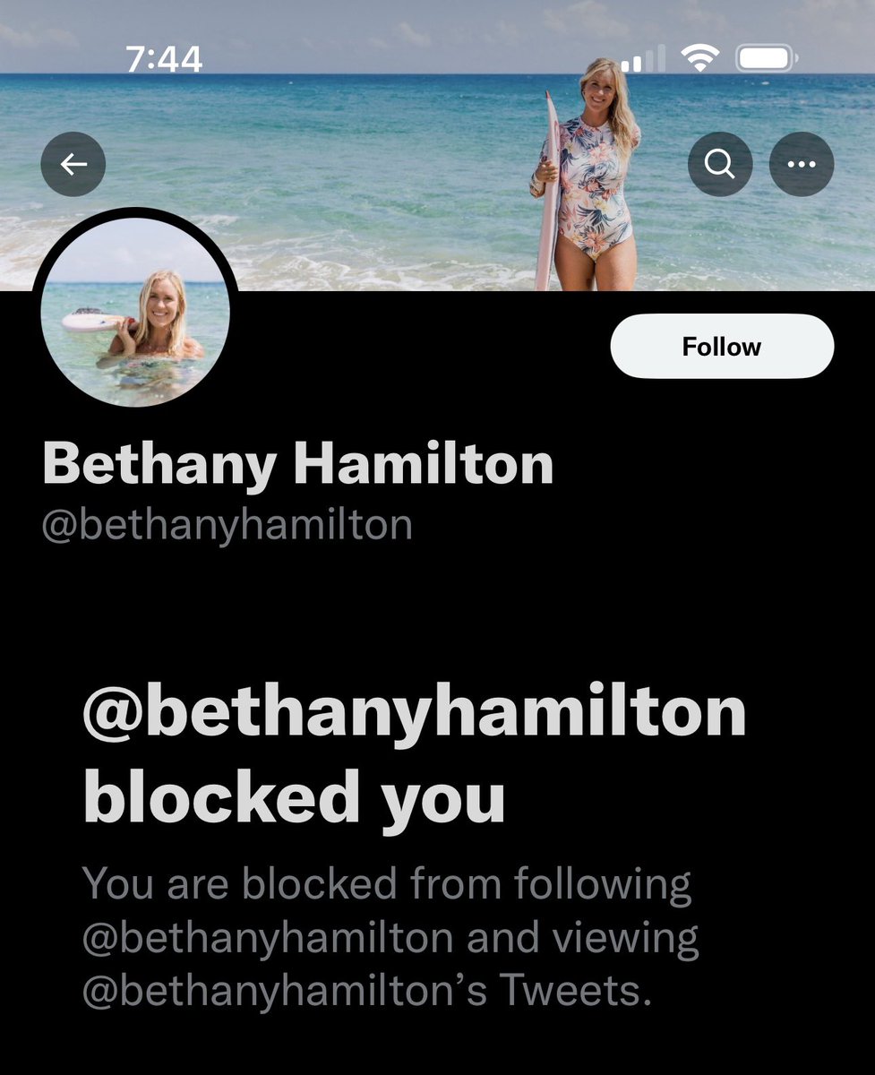 Aaron Lieber tweet media