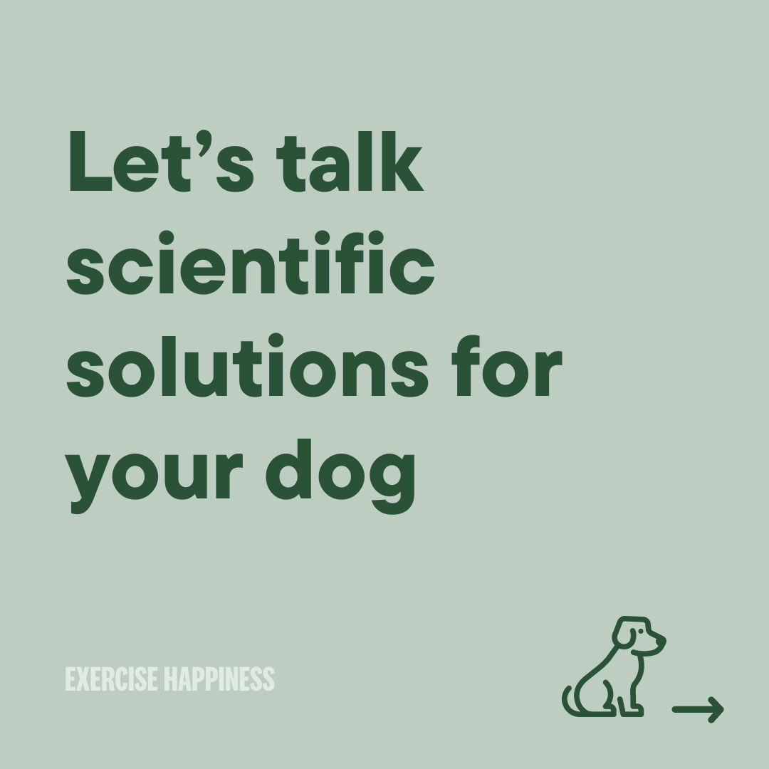 petvalu's tweet image. Let’s talk #ScientificSolutions for your dog. What are your pets’ new year’s health resolutions? 

Ask your animal care expert for tailored recommendations based on their needs!
