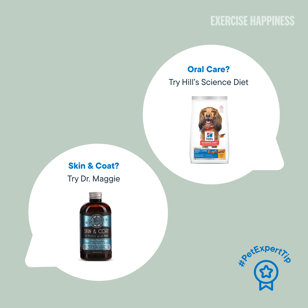 petvalu's tweet image. Let’s talk #ScientificSolutions for your dog. What are your pets’ new year’s health resolutions? 

Ask your animal care expert for tailored recommendations based on their needs!