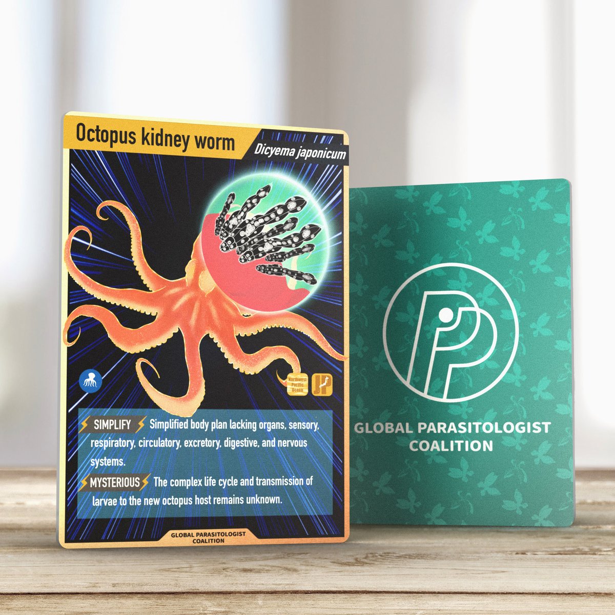 GlobalParasito1's tweet photo. As the late one #ParasiteCards in our first series of 5, this week we have Dicyema!🥳

#Dicyema japonicum is a mysterious parasite that infects octopus kidneys!

Subscribe us at https://t.co/Em5Aum03IN to be notified when the Collectible #ParasiteCards are available for purchase! https://t.co/8lofwf2msB