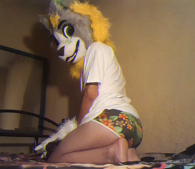 1 pic. I've heard that you can squish soft things to lower your stress level uwu~

#murrsuit #MurrsuitMonday