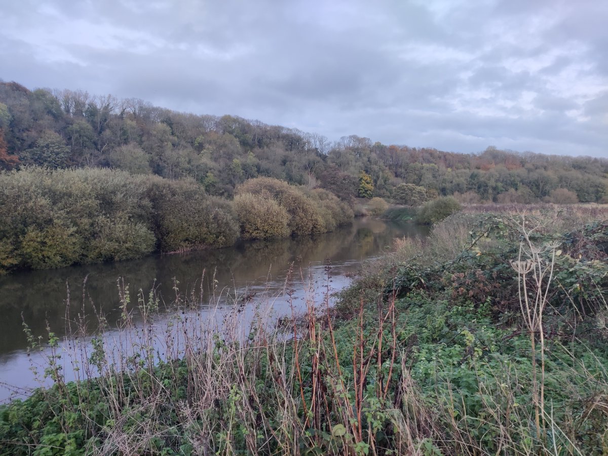 bathnes's tweet photo. A major project to revitalise the River Avon corridor and create a traffic-free route between Bristol &amp; Bath has taken a step forward with a funding award of £295k from @WestofEnglandCA to develop plans for a new footbridge at Somerdale in Keynsham.

https://t.co/GQwfcmC5eh https://t.co/6ZVGFXGV8Q