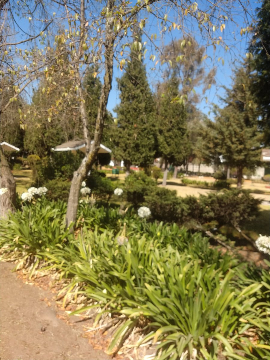 CostenoInter's tweet photo. Nunca defraudas parque Árbol de la vida, ojalá hoy también sea un día de suerte. https://t.co/avFdg3hNE4