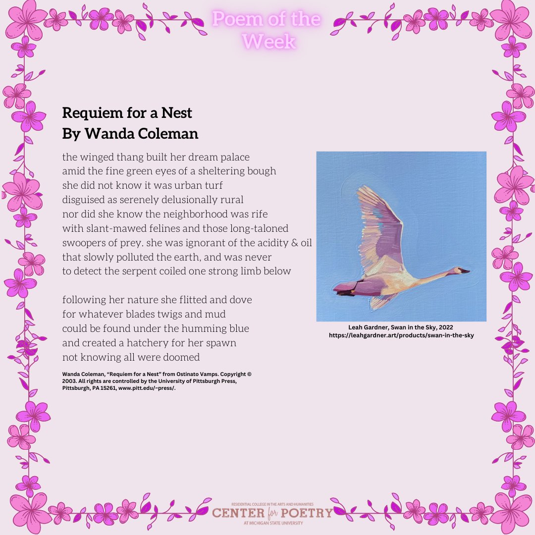 RCAH Center for Poetry at MSU tweet media