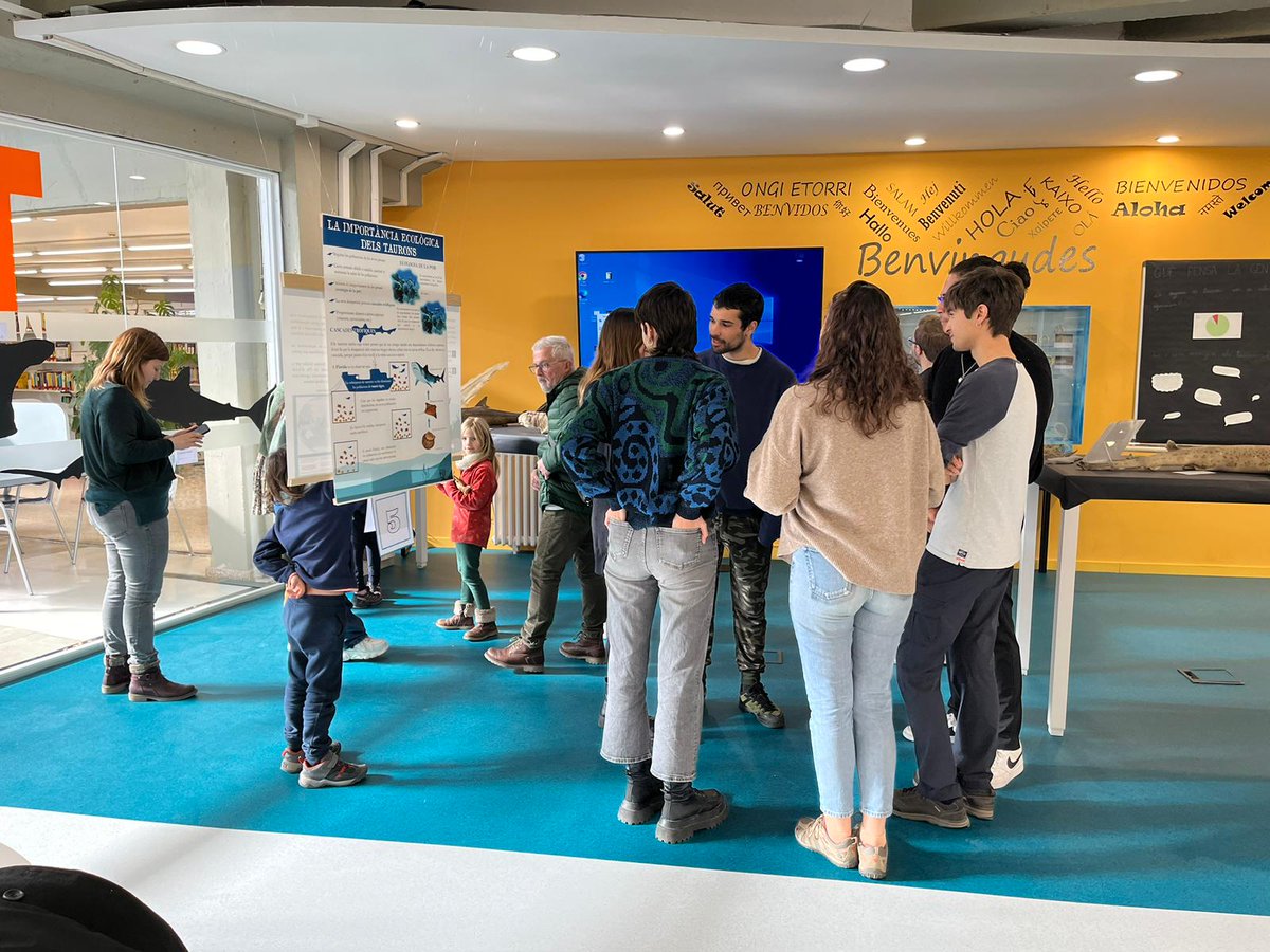 Bctuab's tweet photo. 🦈En el seu primer dia, l’exposició ⚡Parlem de taurons⚡ ha rebut 60 visitants que han gaudit de la mostra i de les explicacions de l'Ana, l'Arnau, l'Elena, en Gerard, la Jaroa i la Judit, autores del muntatge i del treball sobre els #taurons.

#BibExposUAB @bibliotequesUAB https://t.co/DOTvWALoB2