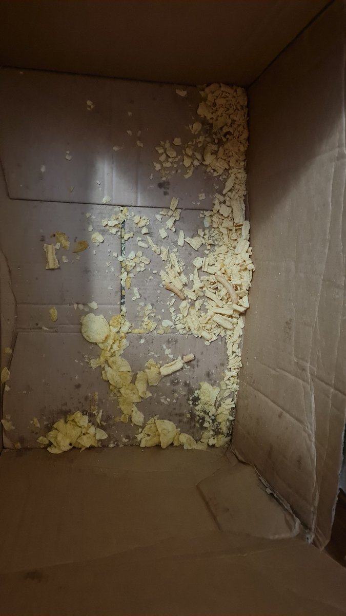 Lebensmittel retten geht irgendwie anders <a href="/MotatosDE/">Motatos.de</a> . 3 geplatzte und in Atome zerbröselte  Packungen, die ich wegschmeißen konnte.