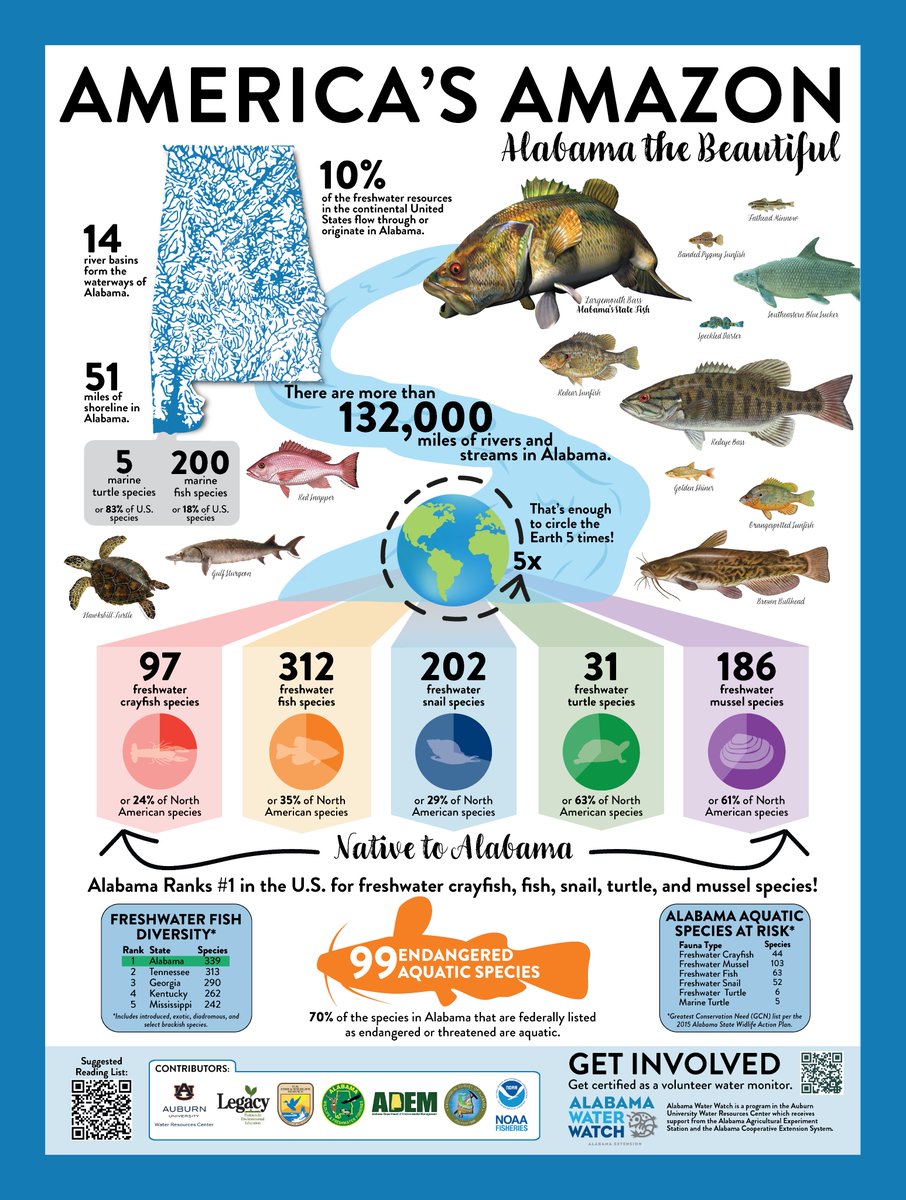 Alabama Rivers Alliance (@alabamarivers) on Twitter photo W O W! 🤩🤩🤩We LOVE <a href="/alwaterwatch/">Alabama Water Watch</a>'s updated poster showcasing all of Alabama's amazing biodiversity! This is what ARA and our partners work to protect and defend each day! W O W! 🤩🤩🤩We LOVE <a href="/alwaterwatch/">Alabama Water Watch</a>'s updated poster showcasing all of Alabama's amazing biodiversity! This is what ARA and our partners work to protect and defend each day!