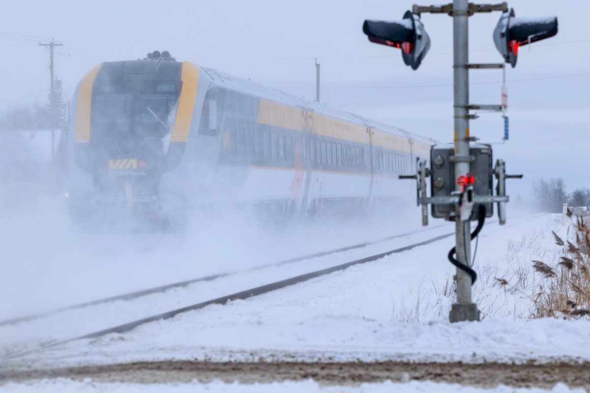 lionliu2003's tweet photo. CN 3061 leading CN E27691 26 @VIA_Rail’s new Siemens set delivery train (the third set) in Belleville this morning 

SIIX 2203 (SCV-42 locomotive) - SIIIX 2602 (business #1) - SIIX 2702 (business #2) - SIIX 2902 (economy #1) - SIIX 2802 (economy #2) - SIIX 2303 (cab car) https://t.co/eFJiUvozTk