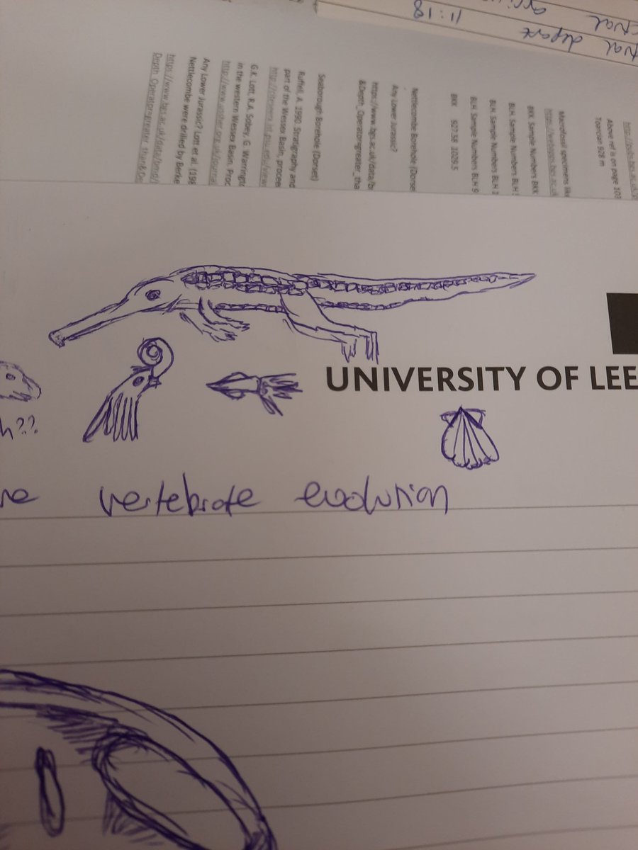 Palaeo_Meghan's tweet photo. I snuck into my supervisor's 1st year vertebrate palaeontology lecture this afternoon and managed to smash out this pretty great sketch of April the Tenontosaurus' skull before it started!

Plus a bonus teleosauroid. It's not the best that I've ever drawn... but he's cute 🐊💗 https://t.co/7D7XFnULnu