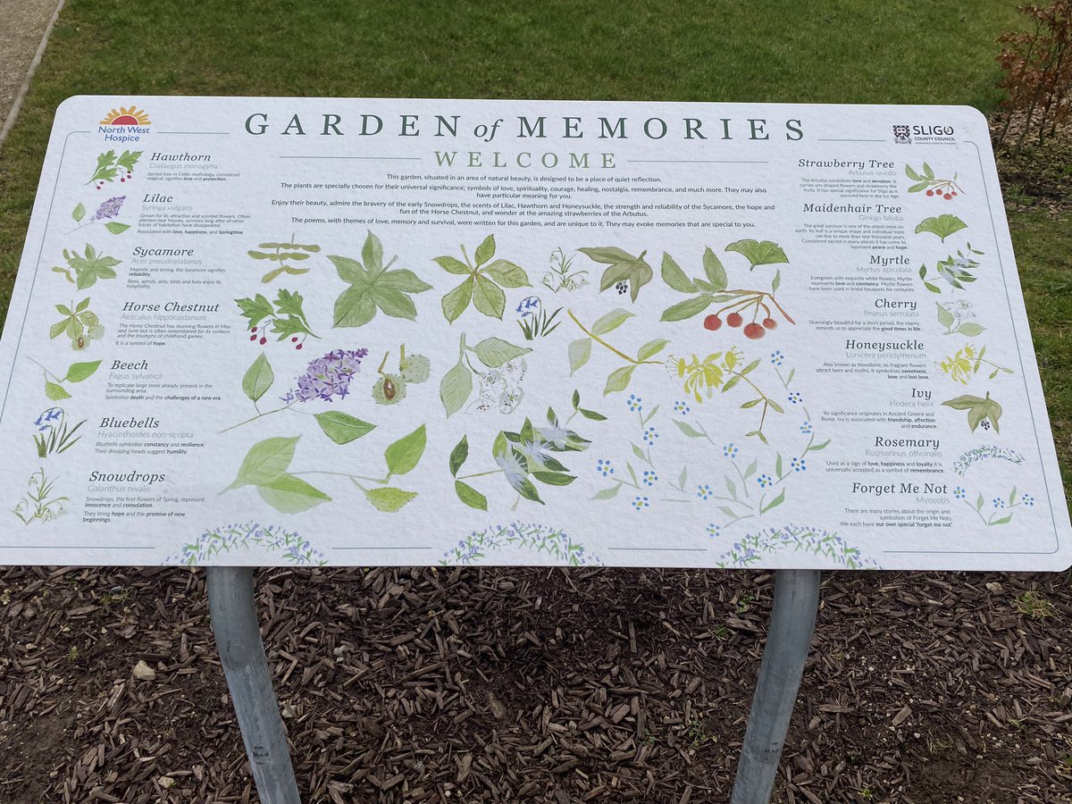 jackiemcguin's tweet photo. Day 30/1491 of #100daysofwalking #1500daysofwalking A shorter walk in #Cleveragh this afternoon as left the runners at home π #spring #365crew https://t.co/aIWDs0p0Sv