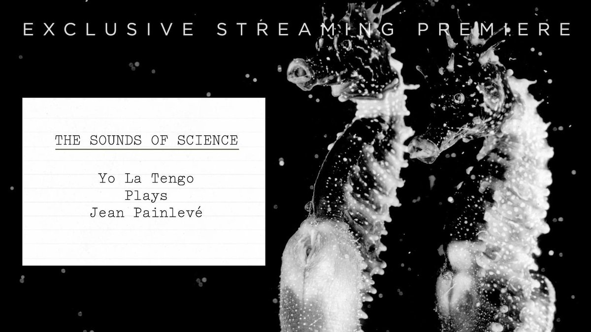 criterionchannl's tweet photo. The Sounds of Science: Yo La Tengo Plays Jean Painlevé • Coming to the Channel 2/23 ft an intro by @TheRealYLT! https://t.co/0lQRG1KmNM

Enjoy the mesmerizing, utterly unclassifiable films of Jean Painlevé set to an original score by Yo La Tengo—never before available to stream! https://t.co/OrK1Py8xg3