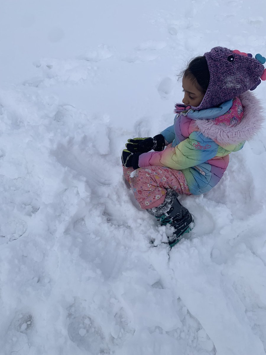 Grade 2 Buffalo Rubbing Stone School CBE tweet media