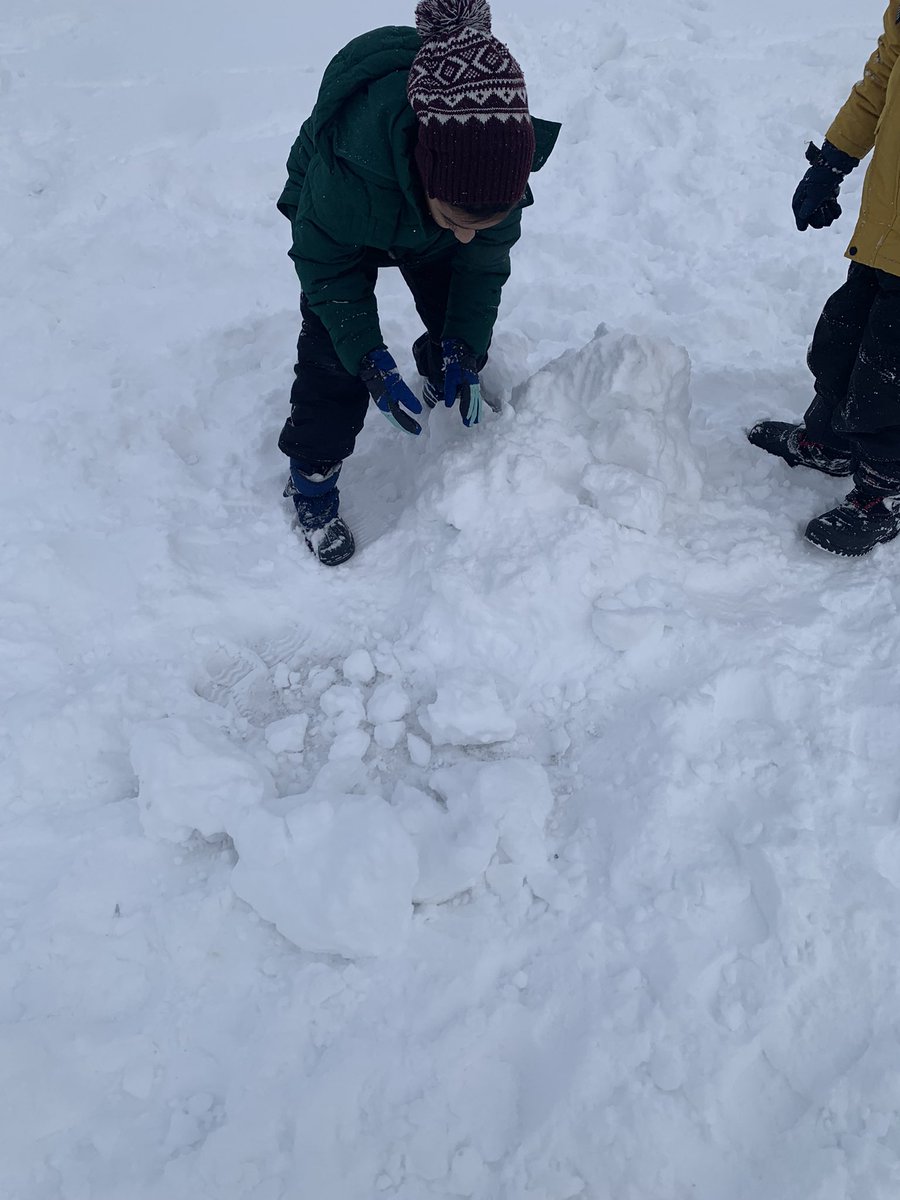 Grade 2 Buffalo Rubbing Stone School CBE tweet media