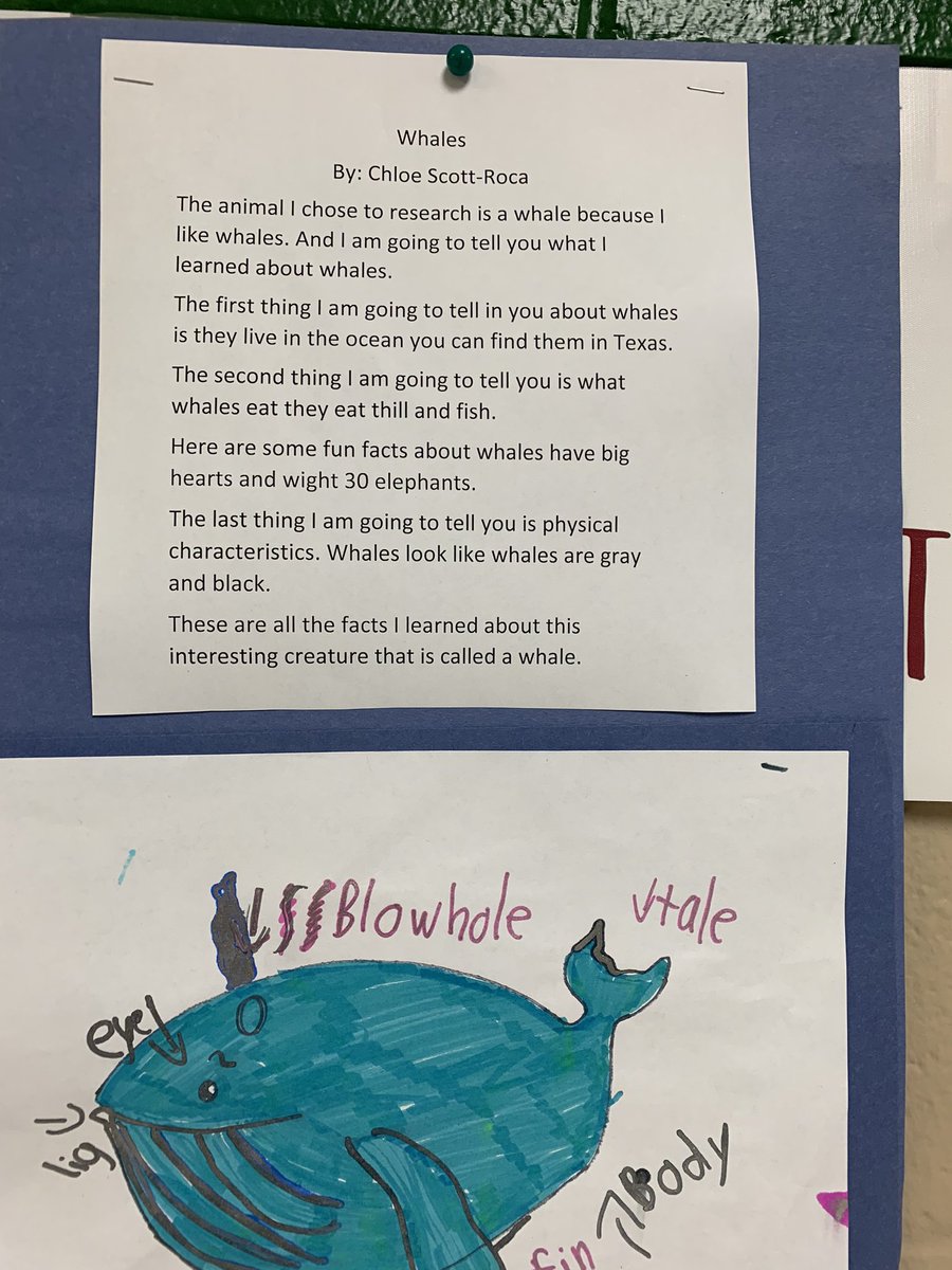 andreabrou71's tweet photo. Great Research writing 3rd grade @jennie_reid_el! Mrs. Johnson and her students are knocking it out of the park! @lpisd #ChooseLp https://t.co/atytryedHY