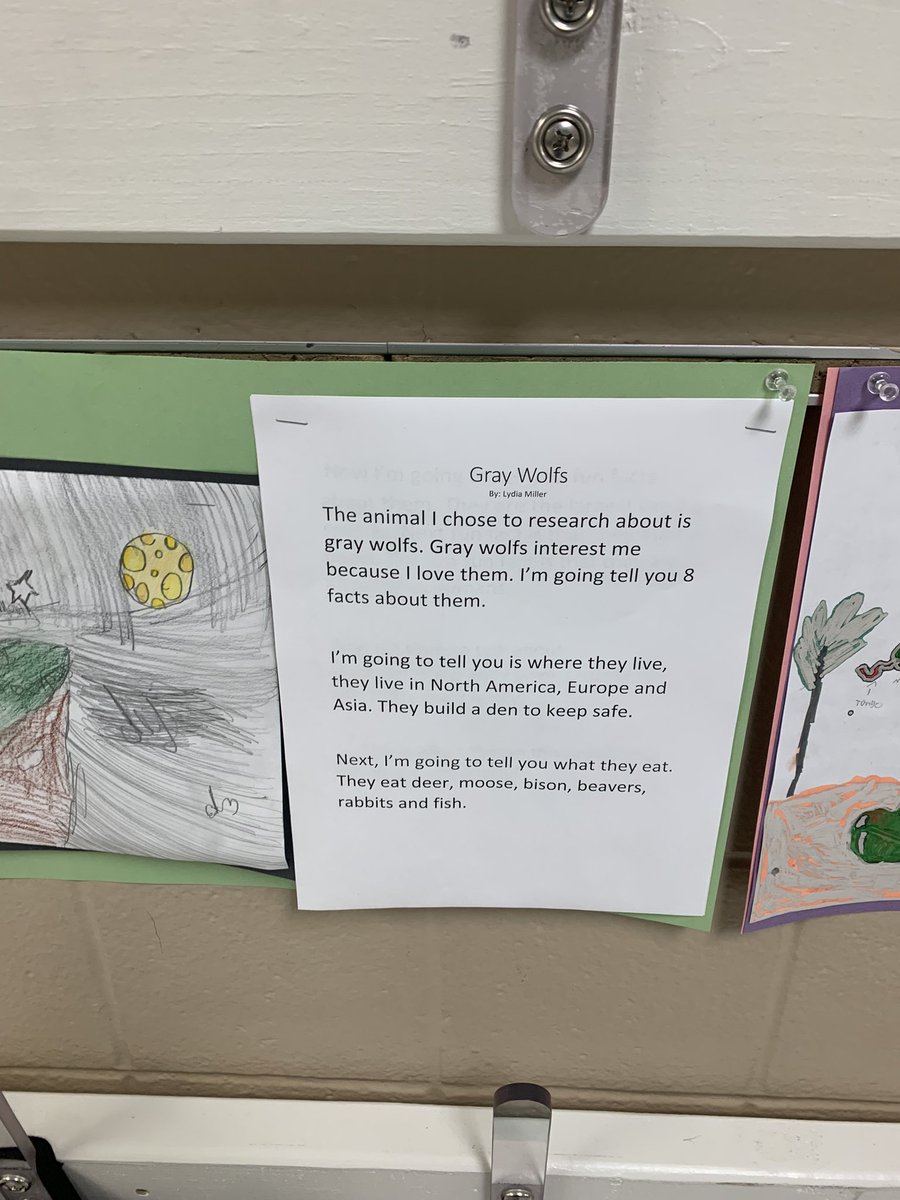 andreabrou71's tweet photo. Great Research writing 3rd grade @jennie_reid_el! Mrs. Johnson and her students are knocking it out of the park! @lpisd #ChooseLp https://t.co/atytryedHY
