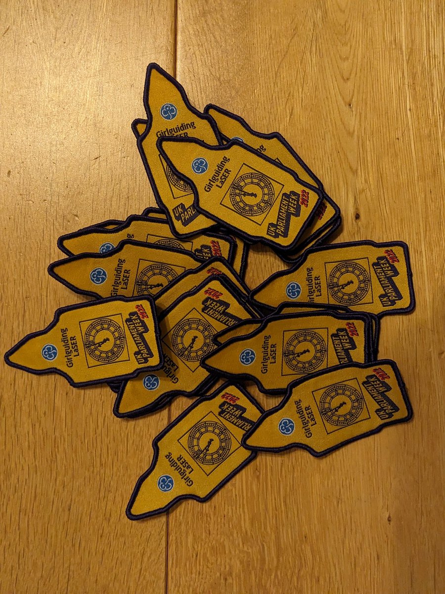 lucyfrearson's tweet photo. Look what's just arrived.
The #Guides are going to love them.
#ukparlimentweek https://t.co/jXUVKp7DBg