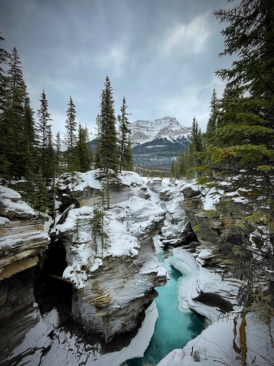 Quick trip to #MyJasper last Thursday. Everyone else must have been at Marmot because we had Athabasca Falls to ourselves. #VentureBeyond @TourismJasper