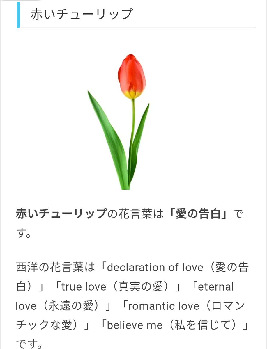 jQ443Hqe1Uzcim6's tweet photo. #1月31日の誕生花は赤いチューリップ
#赤いチューリップ
#愛の告白
#DeclarationOfLove
#BelieveMe
#漫画
#manga
#girl
#大島佐柳
#デッドチューブ
#deadtube 
#ooshimasayanagi 
#懐古厨女
#oushimasaysnagi 
#敵女 
#外道 
#カチューシャ
#ヘアバンド 
#残念な美人 
#監督 
#映研部長 

告白！ https://t.co/kPsguTGfar