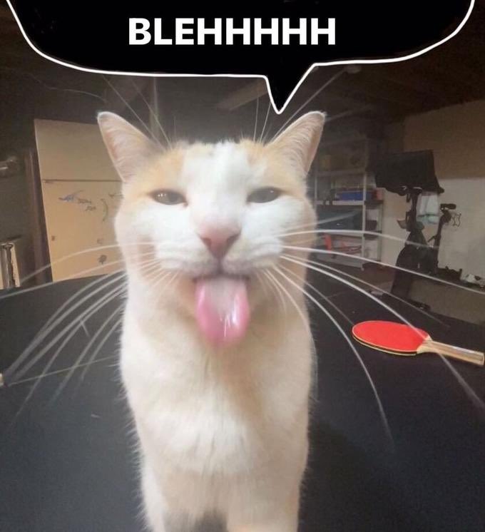 bellgare's tweet photo. @whiptheyacht :P https://t.co/Q5iyx6m8Gm