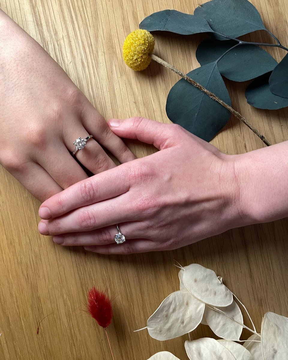 dani 🏙🦄 tweet media