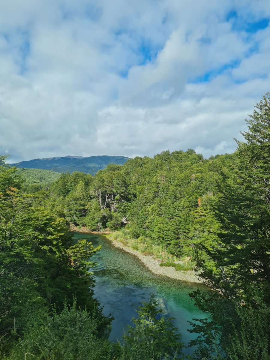 sebas_lagra's tweet photo. Que lindo que es el sur 🏞️ https://t.co/eeqx78SOGN