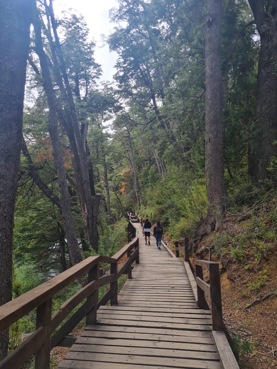 sebas_lagra's tweet photo. Que lindo que es el sur 🏞️ https://t.co/eeqx78SOGN