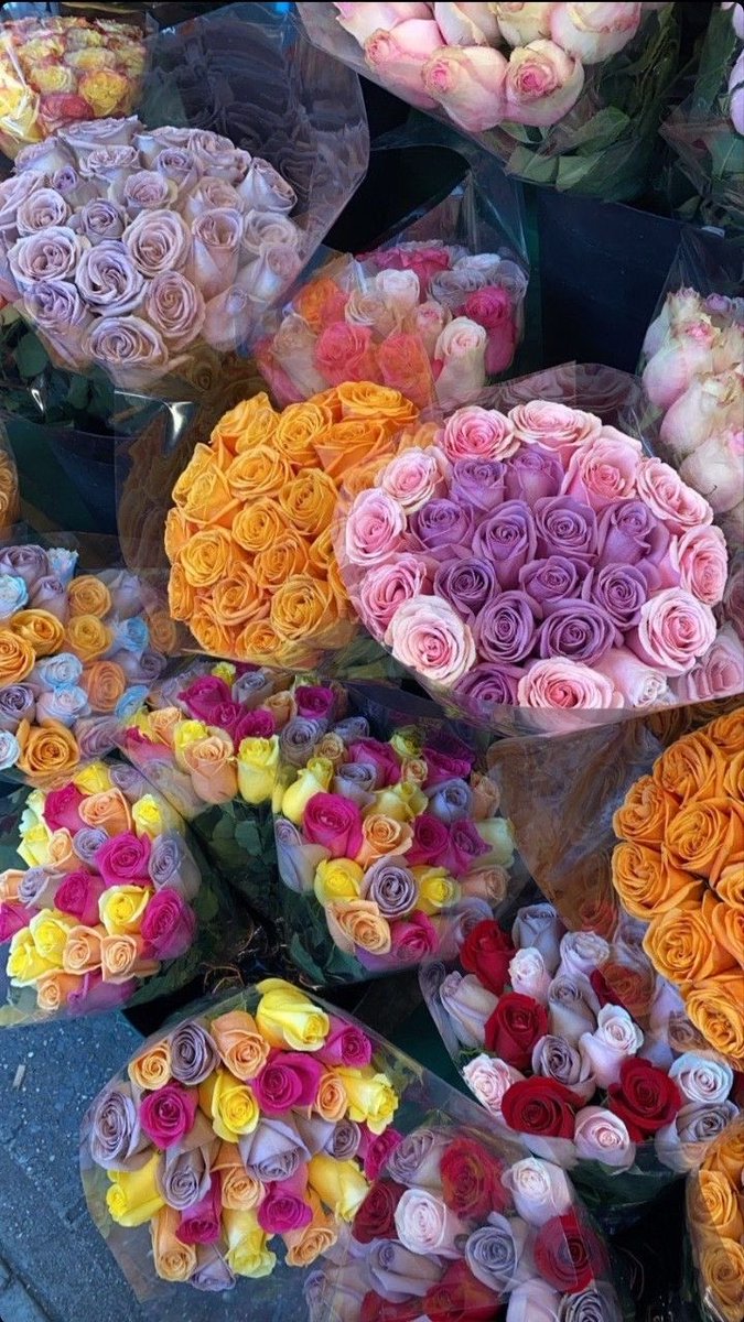 flowers_postss's tweet photo. https://t.co/OLGLeOxFVs
