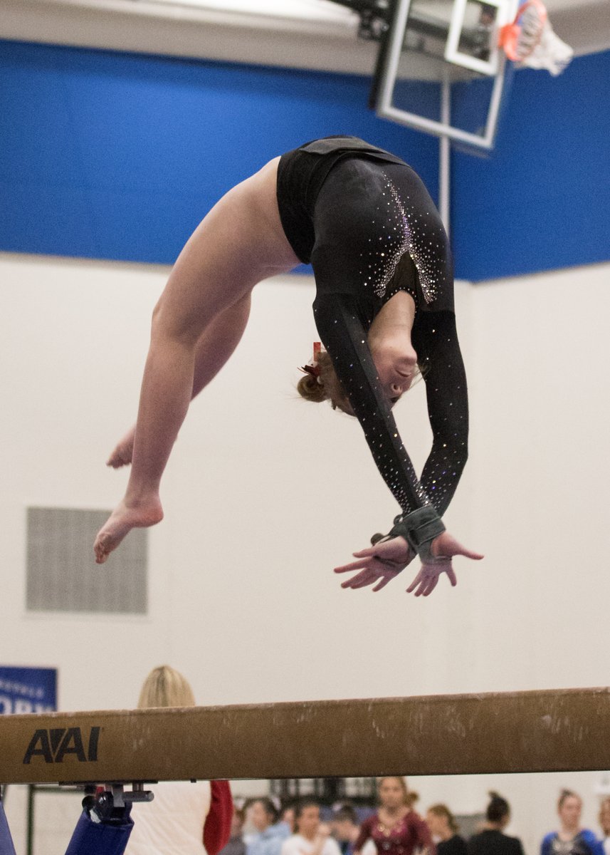 Erik Jacobson (@eriks_photos) on Twitter photo Shout out to the Elk River gymnastics team for finishing 2nd at the Royal Invite on Saturday. <a href="/ISD728/">ISD 728</a> <a href="/Elk_River_Elks/">Elk River Elks</a> <a href="/ERGymnastics/">Elk River High School Gymnastics</a> Shout out to the Elk River gymnastics team for finishing 2nd at the Royal Invite on Saturday. <a href="/ISD728/">ISD 728</a> <a href="/Elk_River_Elks/">Elk River Elks</a> <a href="/ERGymnastics/">Elk River High School Gymnastics</a>