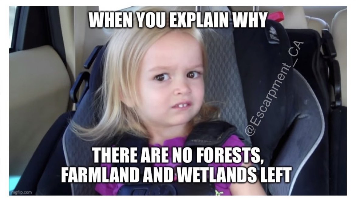 Escarpment_CA's tweet photo. Developers and Politicians:
We are once again asking you to consider NOT developing the Niagara Escarpment
#Ontario #HandsOfftheGreenbelt #Ontarians
#RepealBill23 #Stop23 #NiagaraEscarpment # Nature
#Greenbelt #Sustainability #Wetlands #Canada https://t.co/JSuJqNiIw6