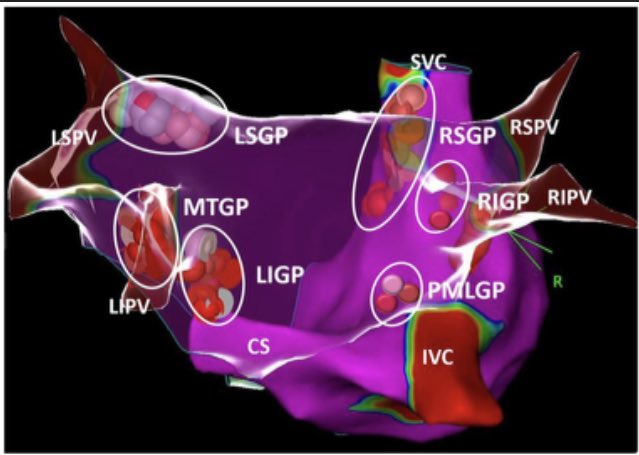 Tolga Aksu, MD tweet media