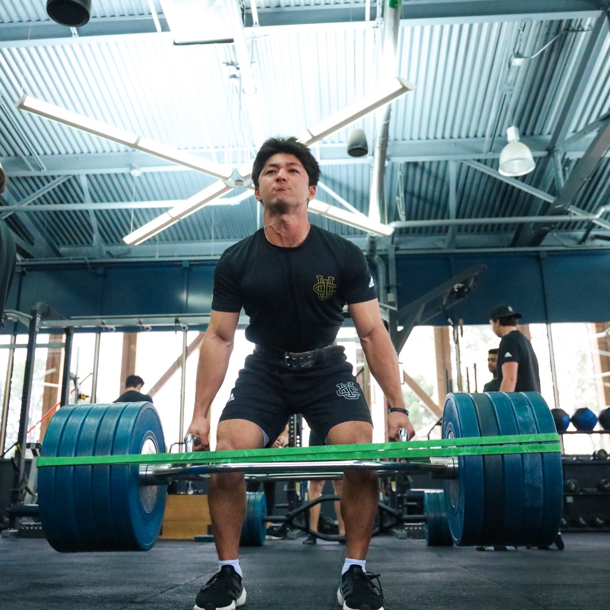 UCI Baseball tweet media