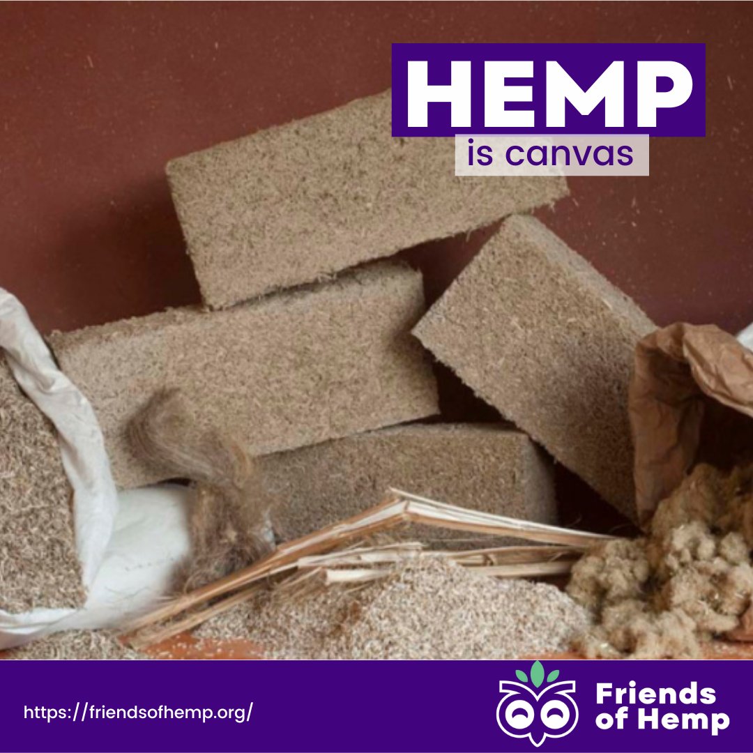 FriendsOfHemp's tweet photo. Hemp is a renewable resource with near-endless applications, and scientists and researchers have been searching for new ways to utilize the plant

#stalk #hurd #fiber #realHemp #sustainable #friendsofhemp #globalhempassociation https://t.co/hPrv3bwLut