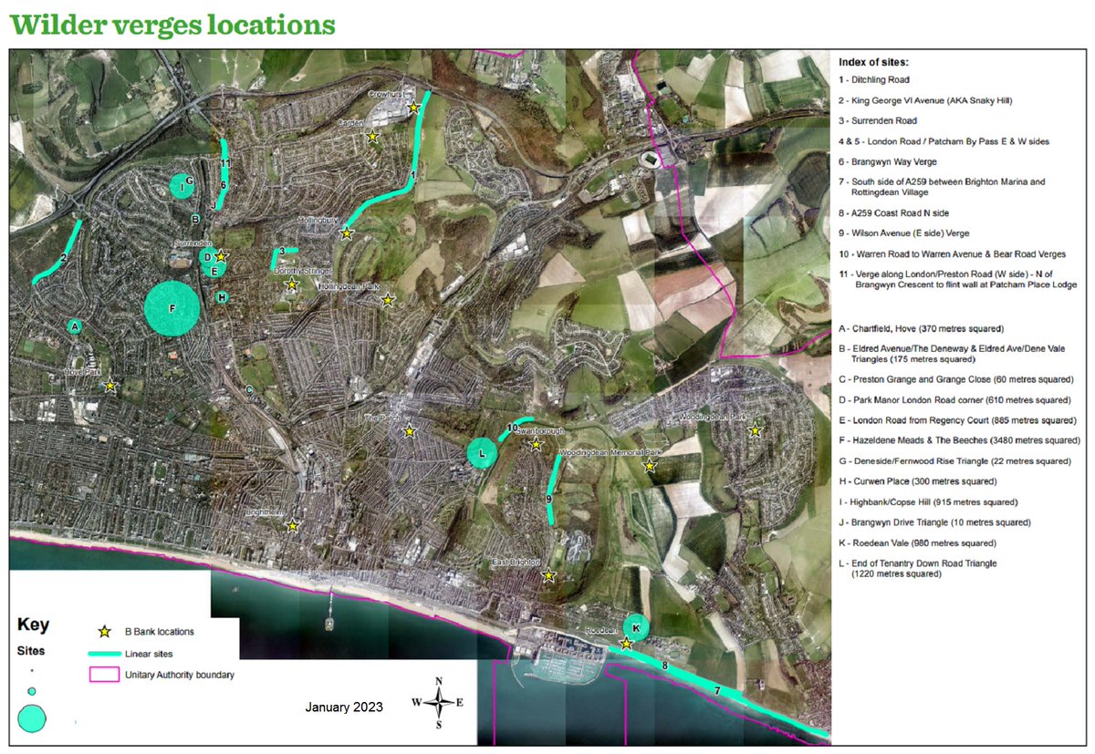 B & H Wildlife Forum tweet media