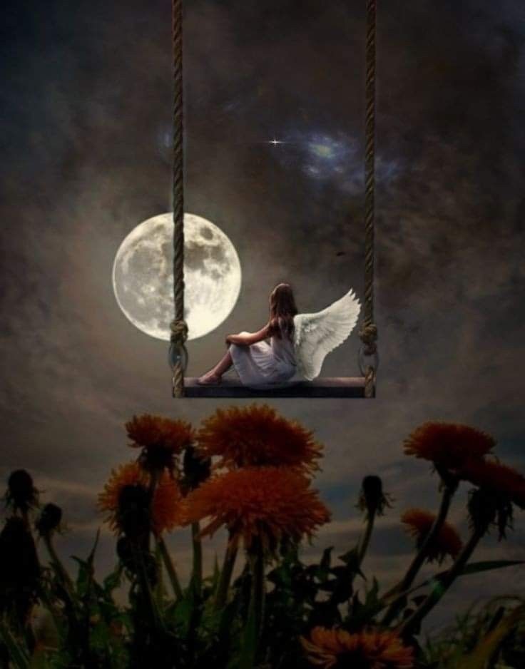 erriekhan's tweet photo. I look at the moon and smile
The moon sighs & replies
Please wait for a while..
#thoughts #mywords #beautifulthought #poetry
#amazingnight https://t.co/BBZl4OlMuP