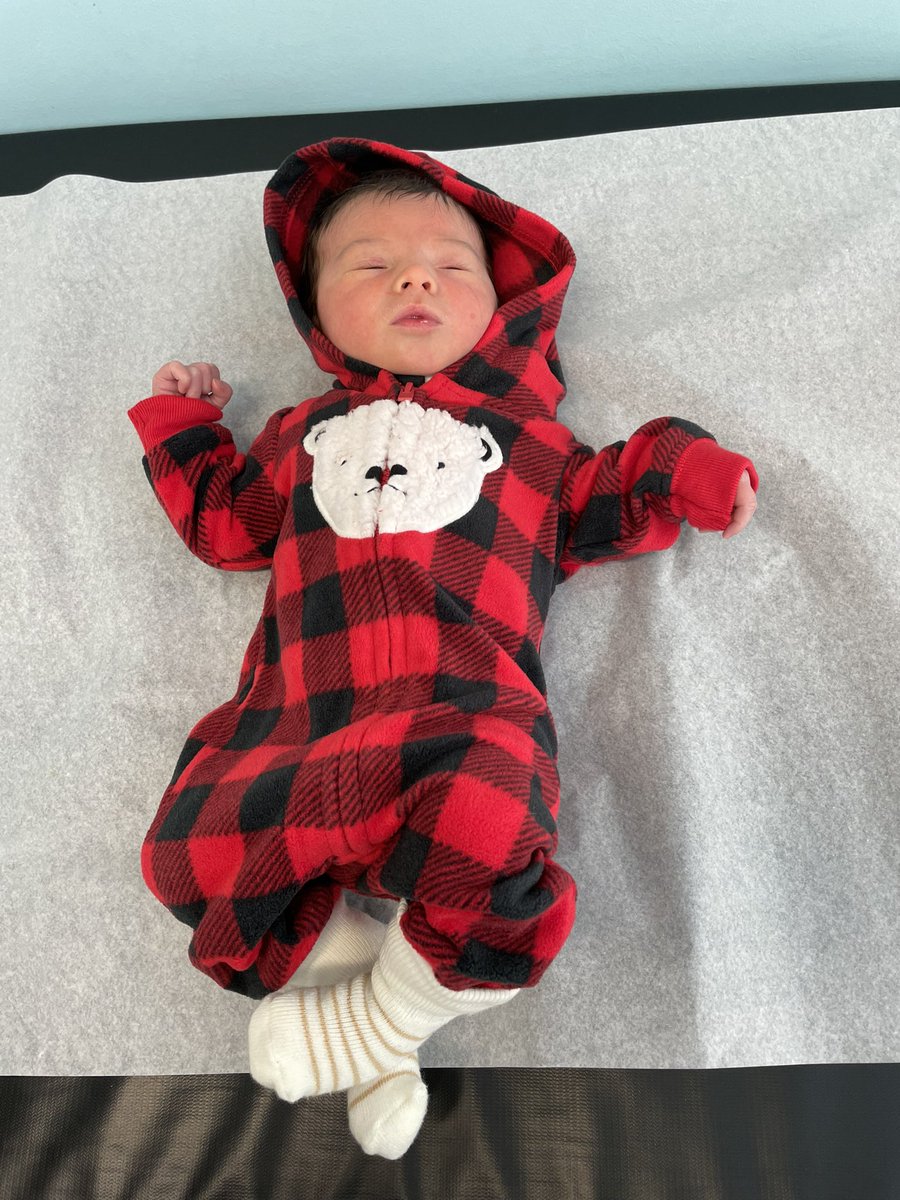 Lauren Gardner tweet media