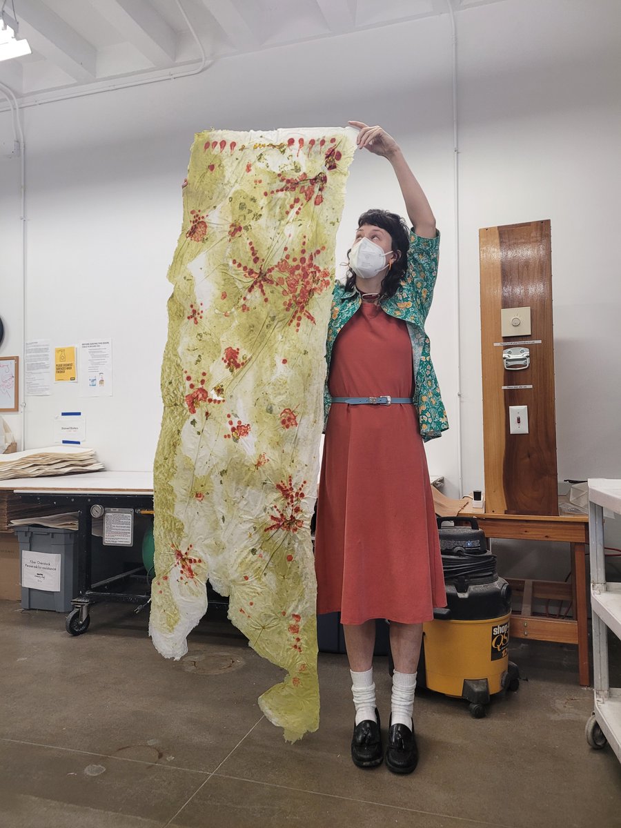 University of Iowa Law Library tweet media