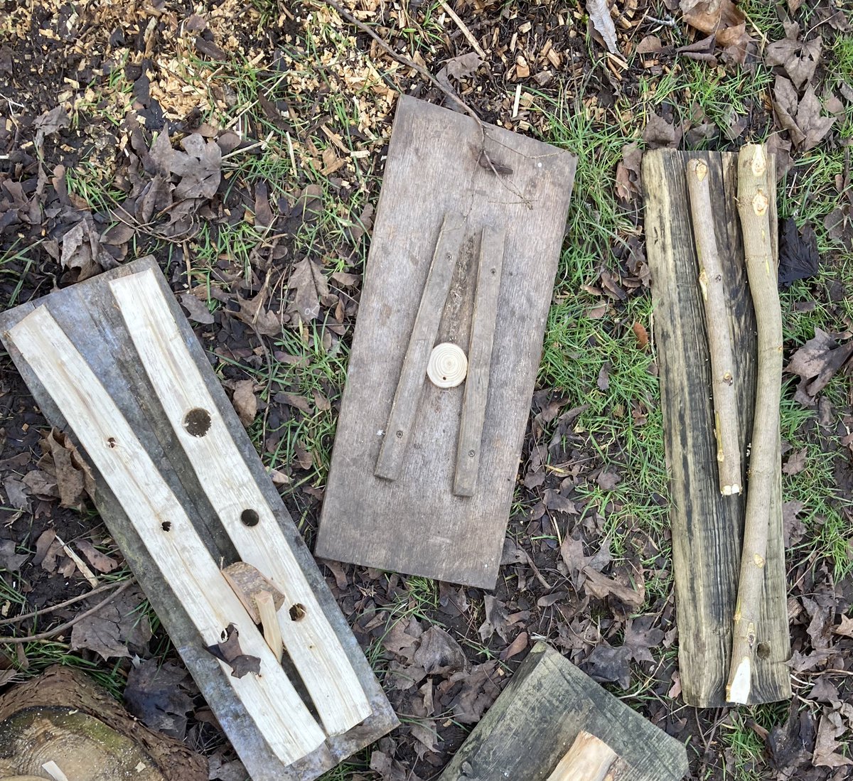 Wild Lives Forest School tweet media