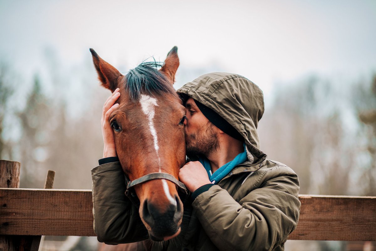 perfbalancefeed's tweet photo. #DidYouKnow that we have full feeds for every type of horse? From foals and mares to competitive horses and seniors! Find the right feed for your horse here: https://t.co/0rkdxzXHbw https://t.co/Tp5y0Rb5NY