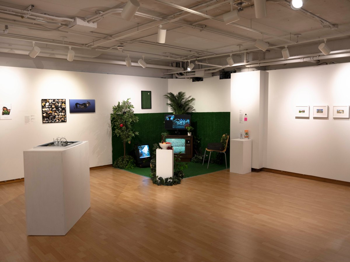 Target Gallery tweet media