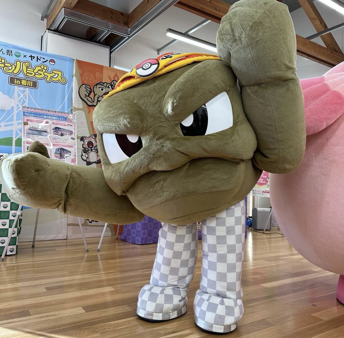 NickolaiBoulton's tweet photo. They give the Geodude mascot transparency layer legs!!!!!!!! https://t.co/CnOtBAapEH